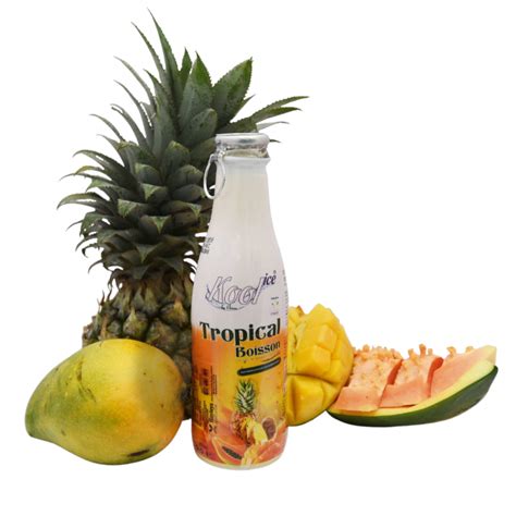 Island Magic Mix Fruit Juice 200ml - Serandib