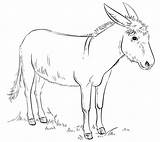 Desenhos De Burro 2 para Colorir E Imprimir  ColorirOnlineCom sketch template