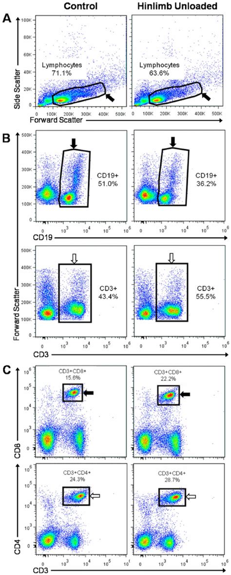 Representative flow cytometry density plots from splenic lymphocyte... | Download Scientific Diagram