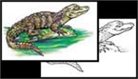 Crocodile tattoos - what do they mean? Crocodile Tattoos Designs & Symbols - Crocodile tattoo ...