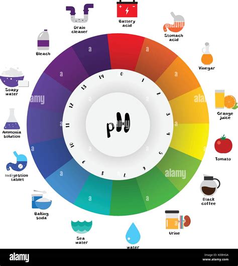 The pH scale Universal Indicator pH Color Chart diagram acidic Stock Vector Art & Illustration ...