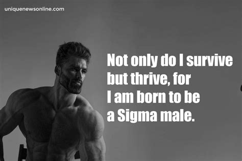 65+ Best Sigma Male Quotes in 2024