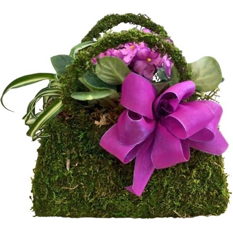 SuperMoss™ Moss Hanging Planter | Wayfair