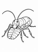 Colorare Scarafaggio Kakkerlak Cucaracha Cafard Kleurplaat Coloring  sketch template