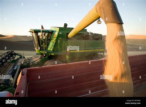 Wheat Harvest in Palouse, Washington, USA Stock Photo - Alamy