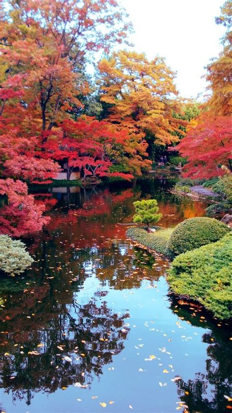 ...loving fall ... | Japanese garden landscape, Japanese garden, Beautiful nature