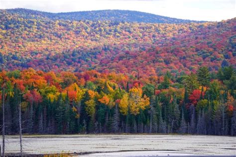 Fall Foliage Road trip – Adirondacks, NY Mr n Mrs Traveler