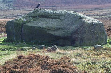 Gallery | Friends Of Ilkley Moor