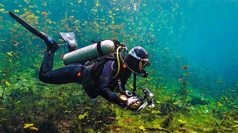 A Quick Guide to Scuba Diving in Crystal River, Florida