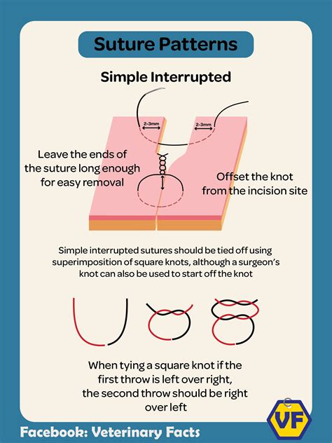 Veterinary Suture Patterns - I Love Veterinary