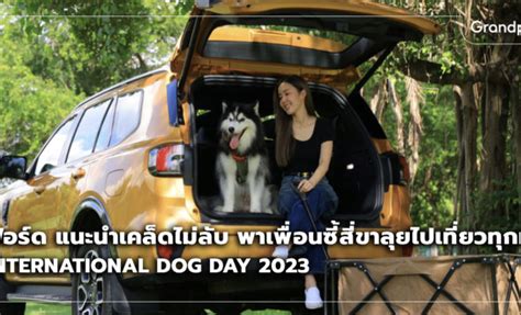 International Dog Day 2023 เคล็ดลับพาเพื่อนซี้สี่ขาออกเที่ยว วันสุนัขโลก