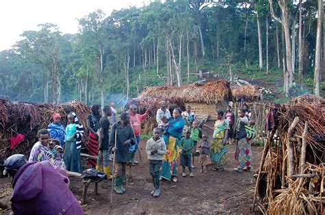 DRC: Indigenous Twa are freed but still landless - JusticeInfo.net