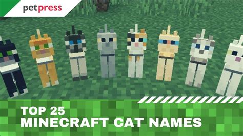 Top 25 Minecraft Cat Names 🐱 - Pick The Perfect Name For Your New Kitty ...