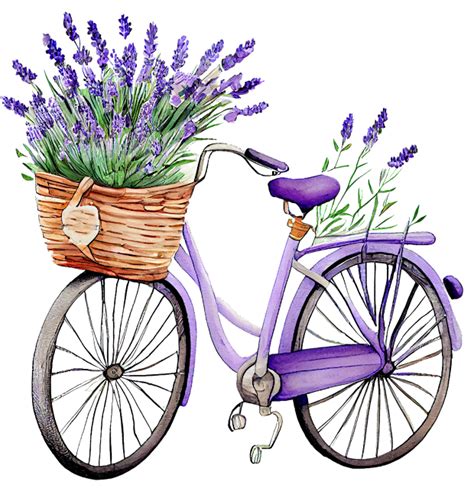 Cliparts from Anna : Lavender clipart. Lavender clipart. PNG. | Велосипедное искусство, Цветы на ...