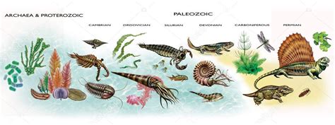 Diagram of development of life in Archean, Proterozoic and Paleozoic era, geologic timeline ...