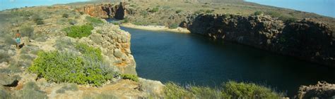 Cape Range National Park - Whale Sharks Exmouth