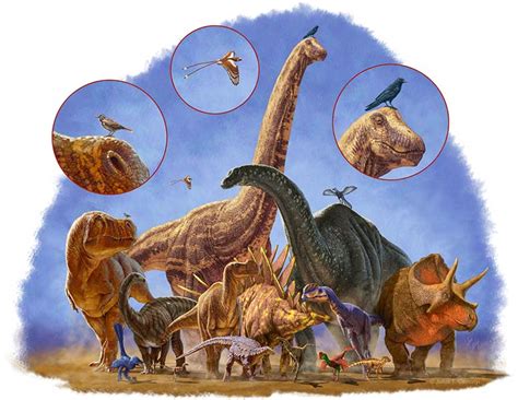 How Birds Survived the Dinosaur Apocalypse | Science | AAAS