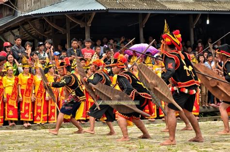 Sejarah Tari Perang Fataele dari Nias dan Maknanya