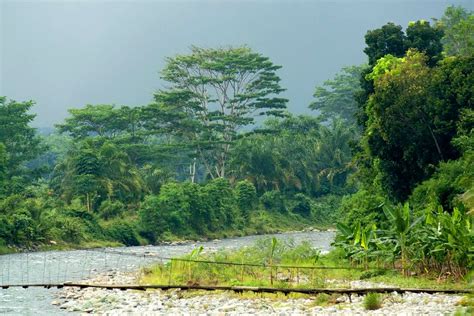 Bukit Barisan Selatan National Park - Sumatra - Indonesia