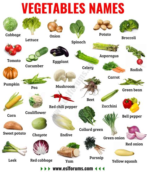 List Of Vegetables Names