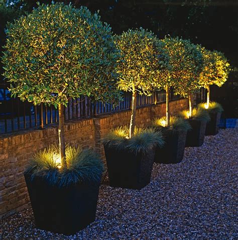 Moon Garden Ideas + Flowers that Look Good in Moonlight | Garden Design