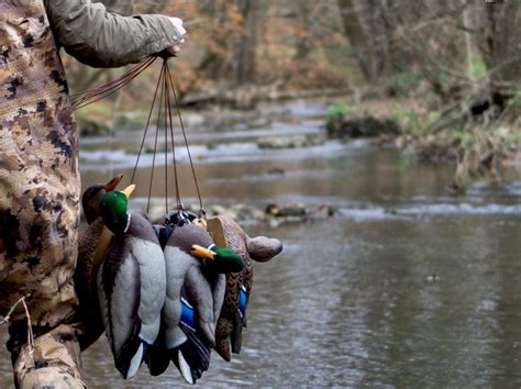 Duck Hunting Boat Accessories: Enhance Your Experience