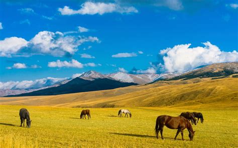 KAZACHSTAN - Biuro Turystyczne Bezkresy