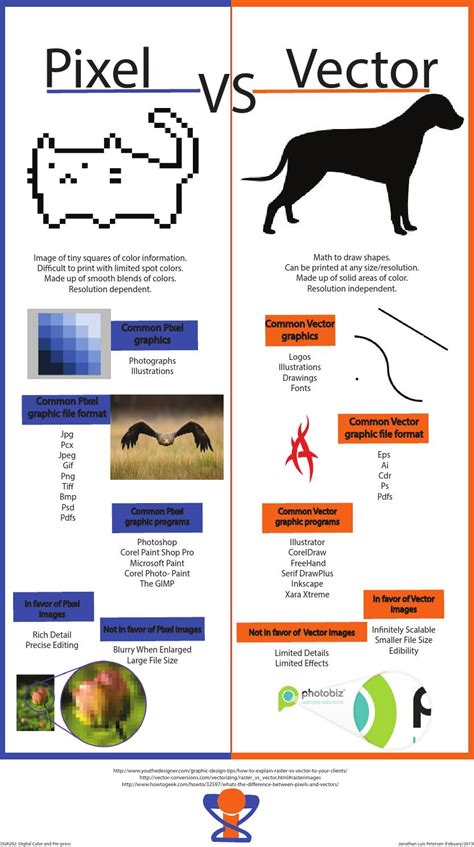 Pixel vs Vector Infographic by Jonathan Luis Petersen - Issuu