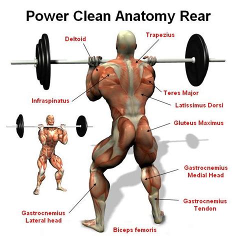 Power Clean Exercise: How To, Benefits & Variations – Torokhtiy ...