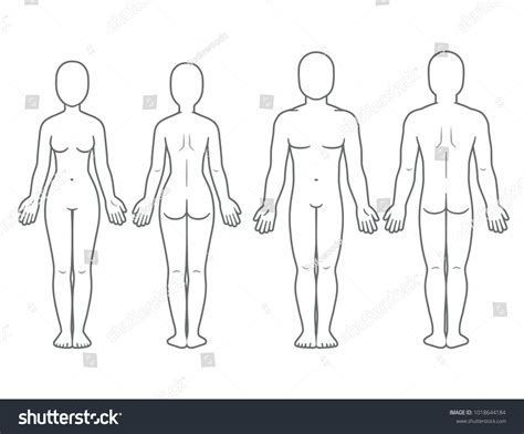 Male Female Body Front Back View Stock Vector (Royalty Free) 1018644184 ...