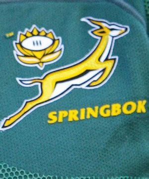 Springboks vs British and Irish Lions | Globetrotting Online