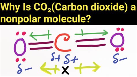 Why is carbon dioxide (CO2) a nonpolar molecule? - YouTube