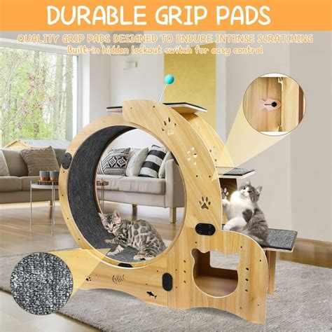 Pefilos 42" 4-in-1 Cat Exercise Wheel for Indoor Cats, Large Cat ...