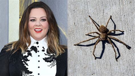 Melissa McCarthy hospitalised following terrifying Huntsman spider bite ...