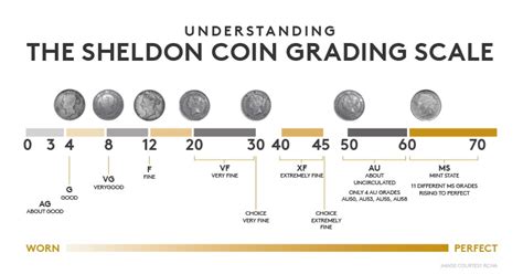 What’s the score? Your guide to coin grading | The Royal Canadian Mint