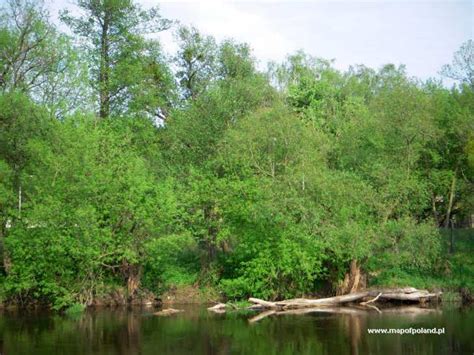 Bzura River in Sochaczew - Photo 3/8