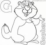 Coloring Gopher Printable The Picture U Can Find From Animal  sketch template