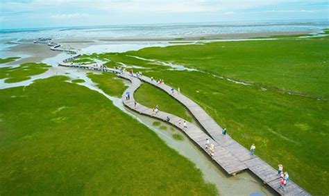 Taichung Gaomei Wetlands » Longguan Tours