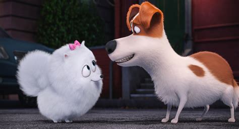 รีวิวหนัง The Secret Life Of Pets - Cmovie2home