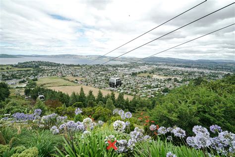 Skyline Rotorua Luge, Gondola, Scenic Walks, Wine and more