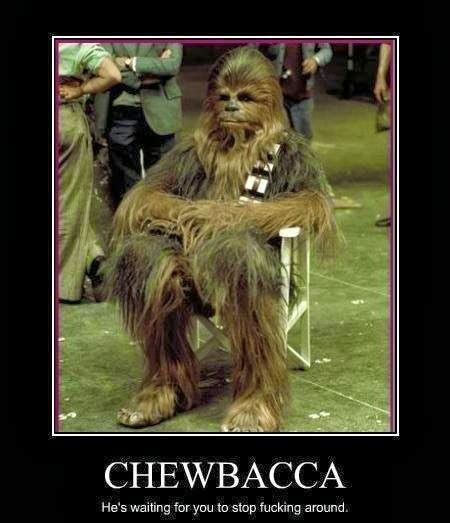 Chewbacca Memes