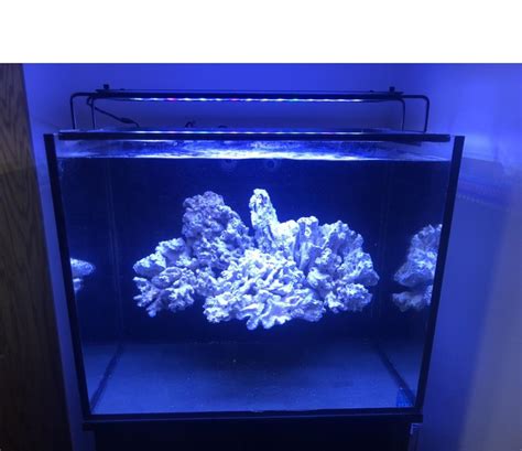 Floating Reef Aquascape 😍 : r/ReefTank