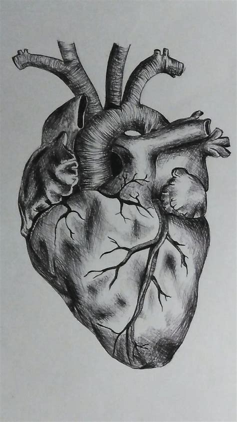 Drawing of Heart | Heart drawing, Ballpoint pen art, Drawings