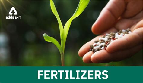 Fertilizers: Types, Uses and Importance 2022 You must know.