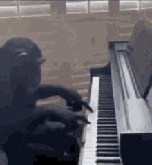 Monkey Playing The Piano GIFs | Tenor