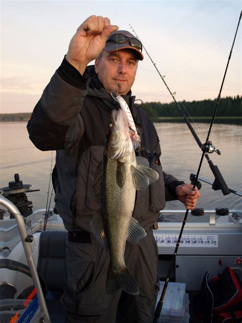 Lake Saimaa fishing travels: Pike Perch season was started