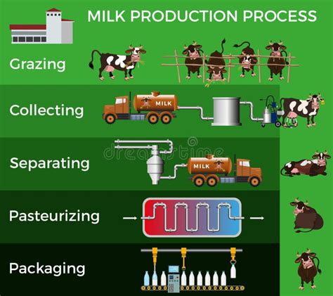 Milk Production Process Flow Chart