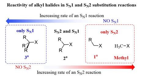 SN1 SN2 reactivity of alkyl halides | Organic chemistry, Sn1 sn2, Organic chemistry study