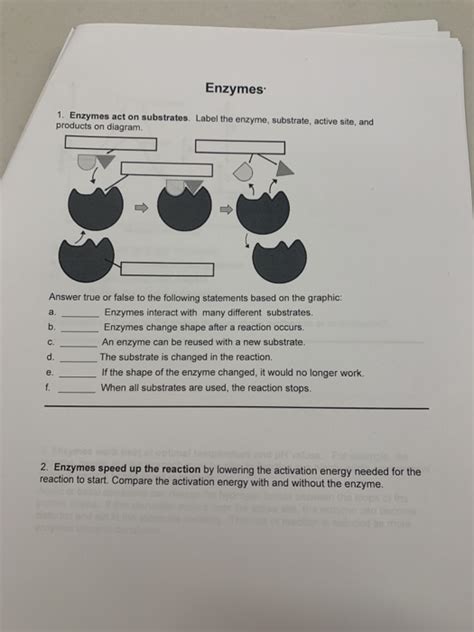 Solved Enzymes 1. Enzymes act on substrates. Label the | Chegg.com