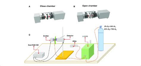 | Schematic representation showing the experimental setting of Li-cor... | Download Scientific ...